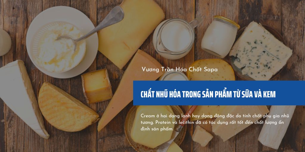Chất nhũ hóa trong sản phẩm từ sữa và kem