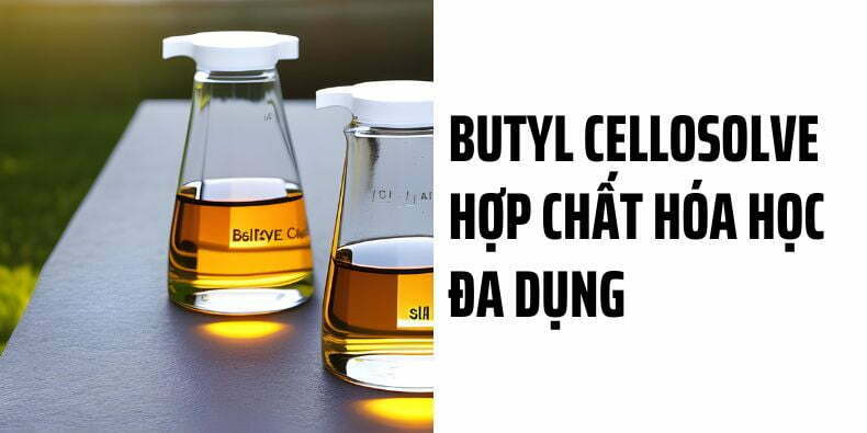 butyl-cellosolve-hop-chat-hoa-hoc-da-dung
