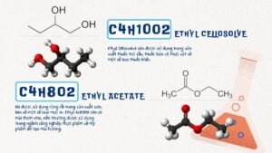 so-sanh-giua-ethyl-cellosolve-va-ethyl-acetate-hai-hop-chat-hoa-hoc-doc-dao